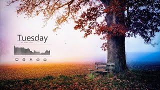 Give Your Desktop The Wow Factor | Relaxing Nature Desktop | Windows Customization | Rainmeter screenshot 4