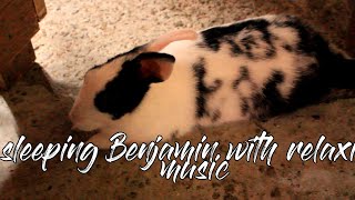 Sleeping Benjamin With Relaxing Music
