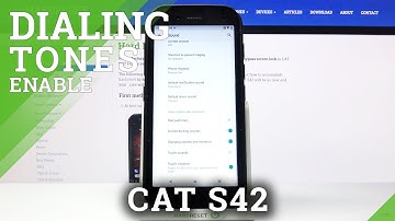 How to Enable Dial Pad Tones in CAT S42 – Turn On Dial Pad Tones