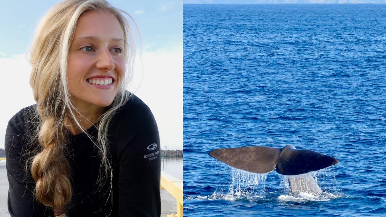 Working as a whale watching guide in Northern Norway | Summer 2020