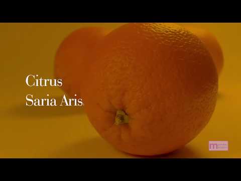 Citrus Lyric Video 有坂さりあ  Beat by taron_ beats