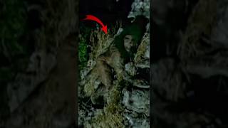 Kaal Purush Love And Terror Of The Beast