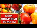 Лучшие СОРТА ТОМАТОВ в моем огороде. Готовлю семена для вас