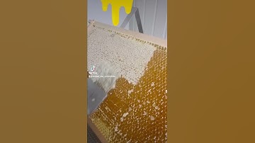 Decapping a honey comb - fun!