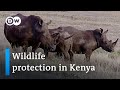 Sustainable nature conservation in Kenya | Global Ideas