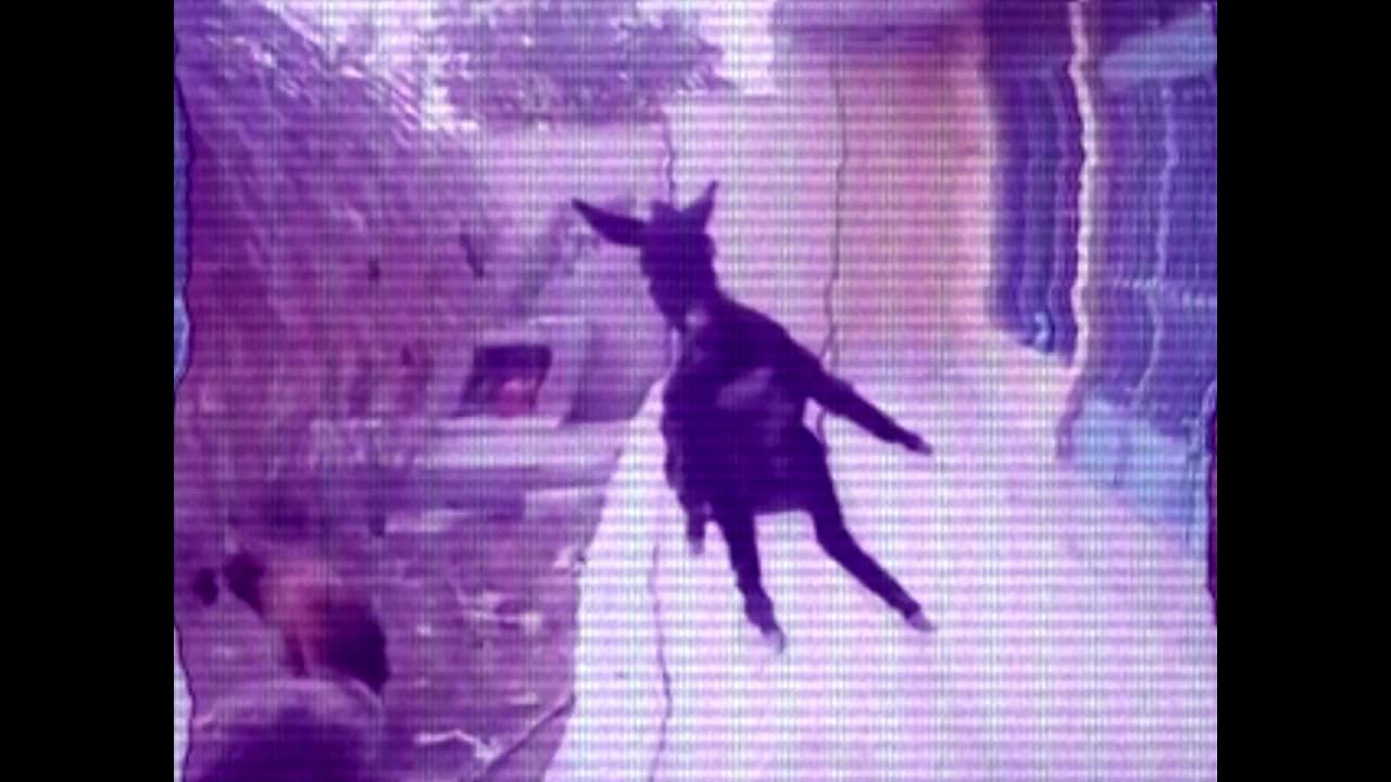 мой гора любимый родина кавказ. мой гора любимый родина кавказ там в горах высоких я барашков. барашек ноты. я маленькая овечка. ноты на бараны.