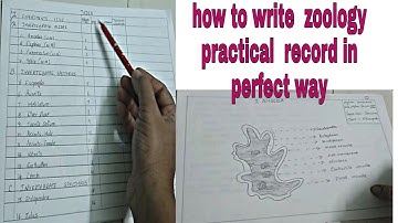 ||How to write zoology practical record||Intermediate perfect zoology record prparation||Record||
