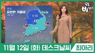 [오늘날씨] 최아리 : 뉴스데스크 기상예보 20191112