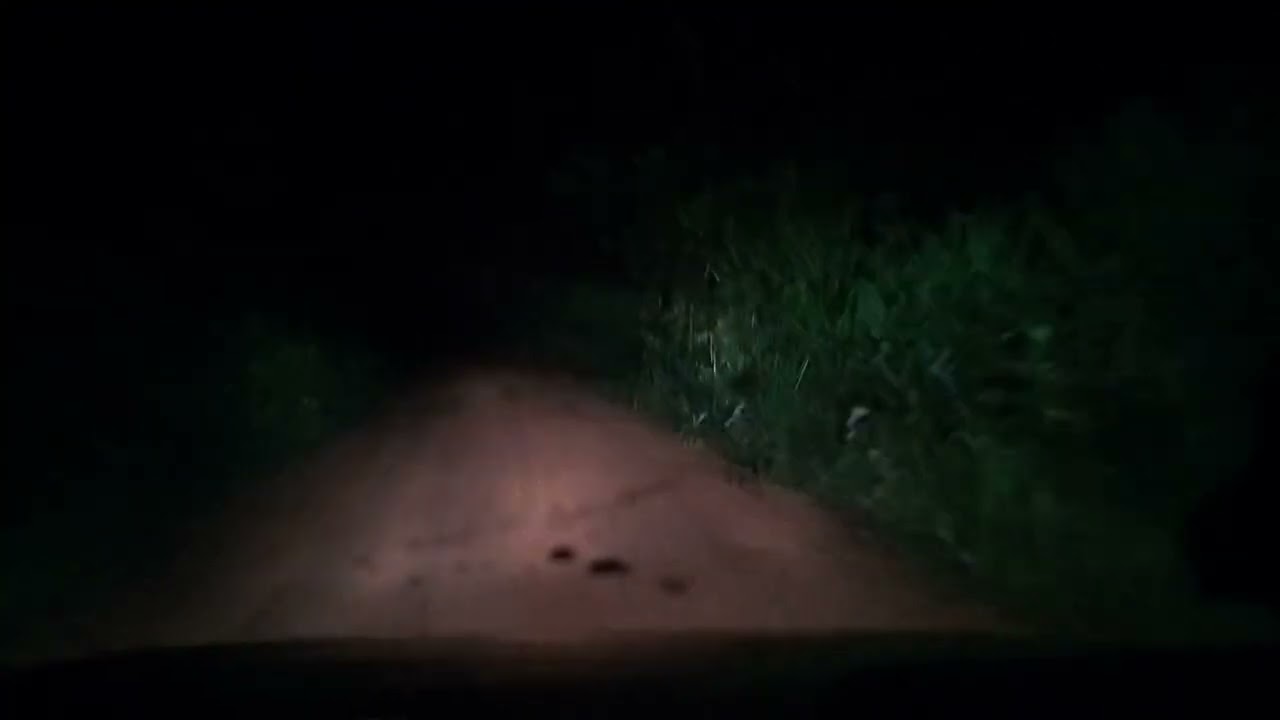 Inscreva-se no canal deixa o like e compartilhem valeu, perdidos