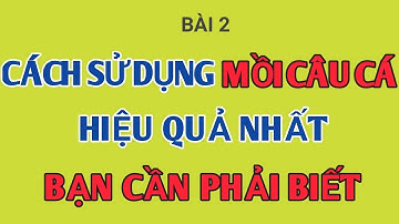 Cách sử dụng mồi câu cá hiệu quả nhất l CẦN THỦ ĐẤT CẢNG