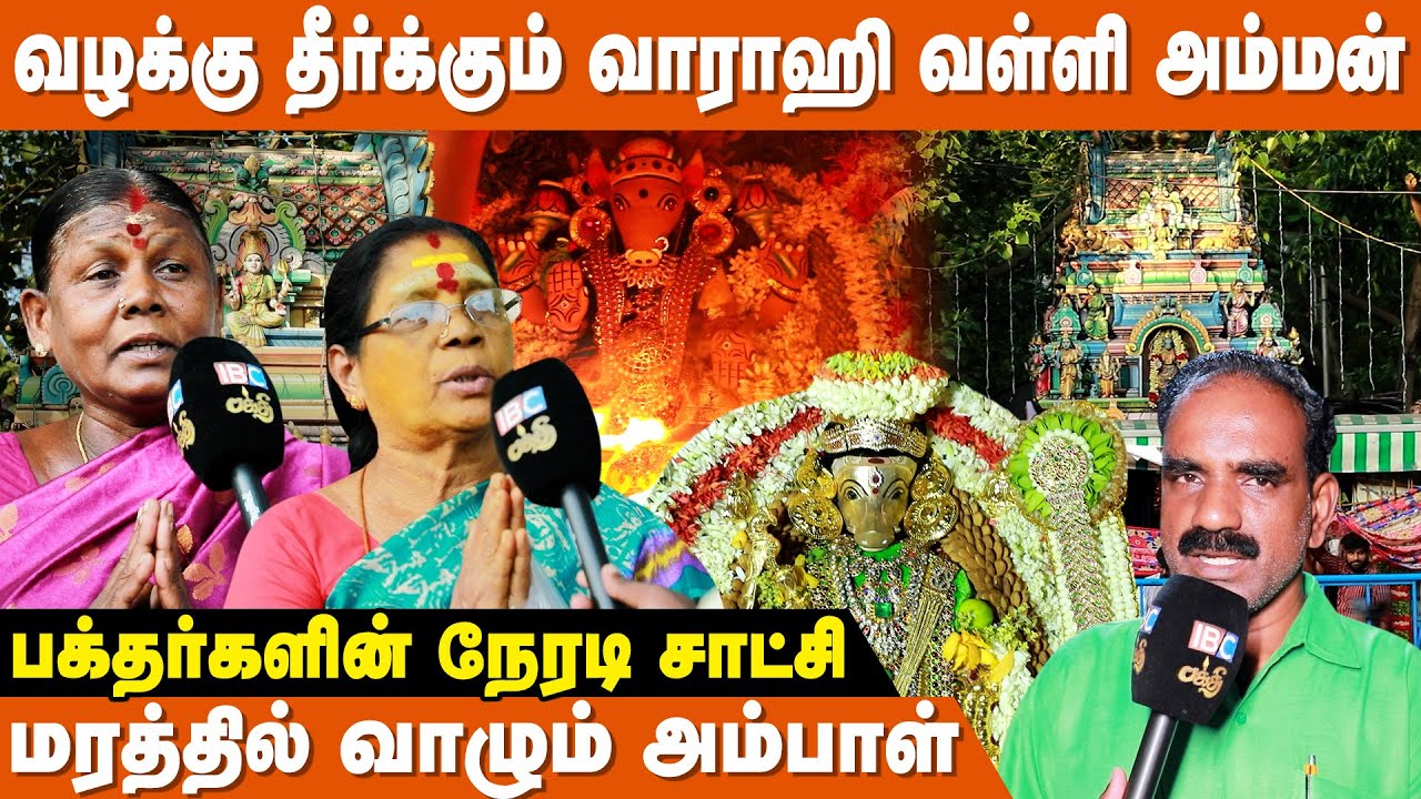 9 பஞ்சமிக்கு தொடர்ந்து இங்கு வந்தால் வாழ்க்கை மாறும் !! | Saidapet Varahi Temple | varahi amman