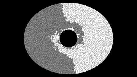 granular flow in elliptical cylinder with rigid inclusion