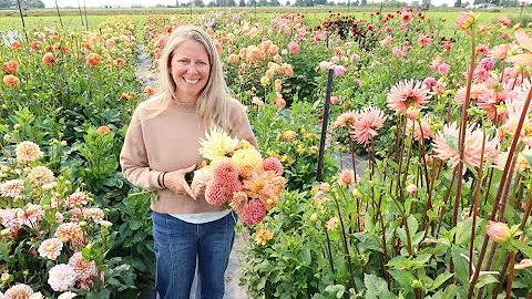 Slow Flowers Show Episode 735V: The magic of dahlias with Anne Long of The Dahlia House
