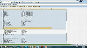 SAP Security Training How to Setup CUA in SAP System