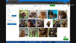 How to train an Azure Custom Vision AI Model