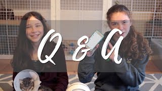 Q & A With My Sister
Todays video is a Q and A with my sister Sarah, I hope you like it!
Her Insta: https://www.instagram.com/sarahchickenlover/
Get 15% off SmallPetSelect!: https://mbsy.co/smallpetselect/42967578
less than 3
Thanks for watching!
Pets:
Storm: Rabbit_Male_Mixed Breed
Misty: Rabbit_Female_Lop
Willow: Cat_Female
Rowan: Cat_Male
How I Built My DIY Rabbit Cage: https://www.youtube.com/watch?v=MVa8d8CczKU&t=
INSTAGRAM: https://instagram.com/stormyrabbits
MUSIC: Youtube Music, https://www.youtube.com/channel/UC-B3l3dgbIk2lOkUpHkpCDQ , or NCS: https://www.youtube.com/user/NoCopyrightSounds
Camera: Canon T5i / Canon G7x
Editor: Final Cut Pro
NOTE: I am not a professional and dont claim to be, If you have an emergency PLEASE call a vet. Q & A With My Sister