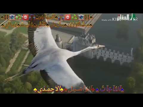 عتابات حزينة للفنان حسين الفرج ضيعوني الوصف