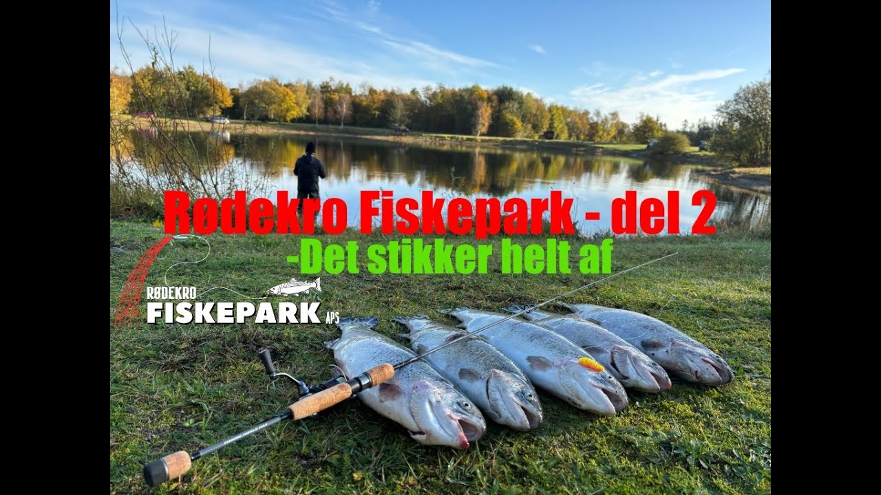 Total bonanza hos Rødekro Fiskepark - DEL 2
