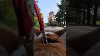 Day 12 Daily Marathon Training