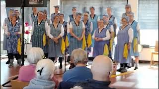 Huisvrouwenkoor De Dekselse Meiden Olv Louise Prins