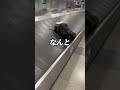 【歓喜】ついにあのエリアにやってきた🌍#shorts