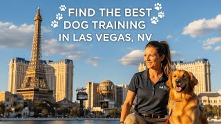 Find the Best Dog Training in Las Vegas Nevada