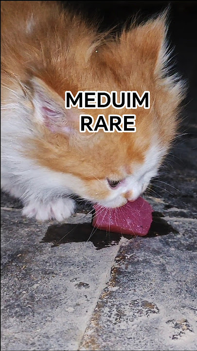 BDSM qullari hamma narsani eshaklariga suradilar