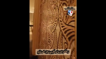 ثواني قرآن كريم بصوت خالد الجليل سورة لقمان(يا أيها الناس اتقوا ربكم)حالات واتساب دينيه #ثواني_قرآن