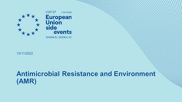 Antimicrobial Resistance and Environment (AMR)