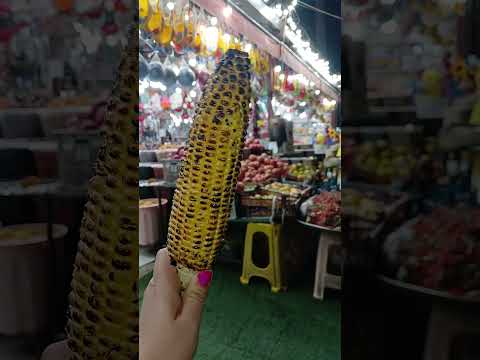 دشت ارژن و بلالی هاش