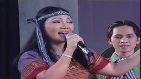 Cung đàn mới-Thanh Tuấn và Cẩm Tiên-SUB CHÉO