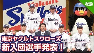 東京ヤクルトスワローズが新入団選手を発表！！