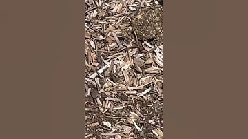 Smooth transition #transition #viral #goneviral