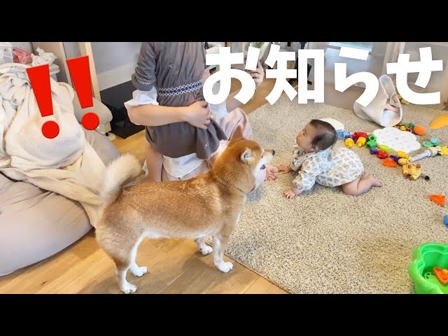 りんご郎 りんご郎
