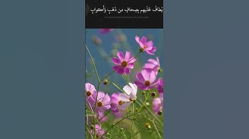 القرآن_الكريم I سورة الزخرف الآية 70 -71