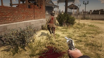 Red Dead Redemption 2 : Torturing and Brutally Killing NPCs #14 (Euphoria Ragdolls)