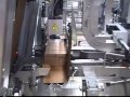 Case packers, shrink-wrappers and palletizers for shampoo 2/