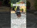 STARKE METAPHER… #animals #OnlineBusiness #remotework #money #work