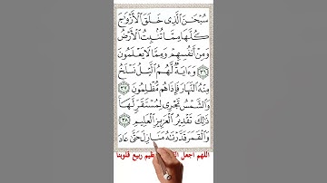 سورة يس من الاية 37 الى الاية 40 #اكسبلور #quranmemorisation #holyquran