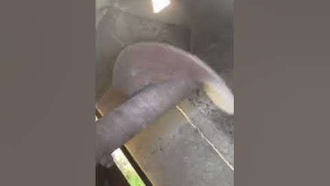 2005 Ledwell Feed Trailer