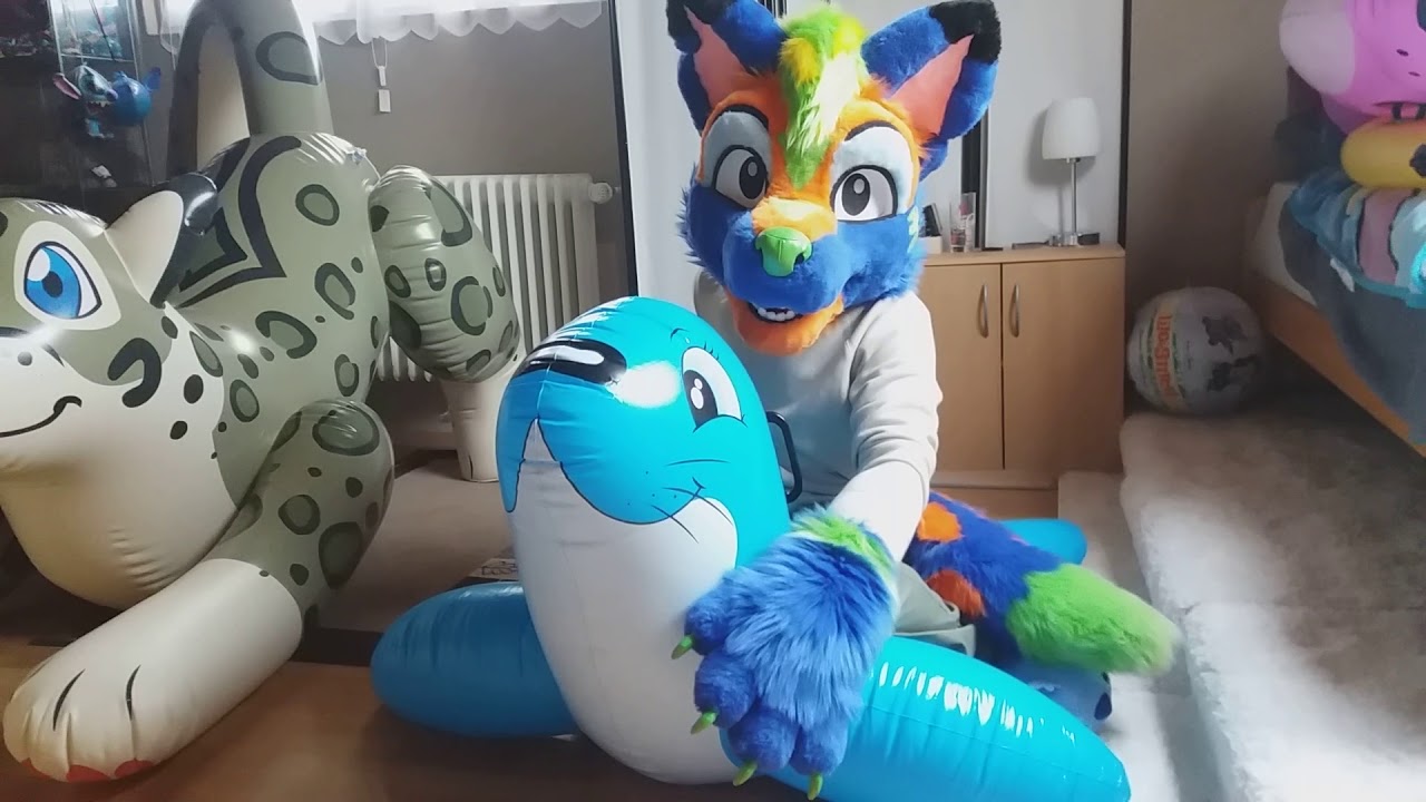 inflatable seal pool toy