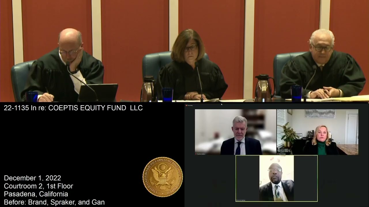 22-1135 In re: Coeptis Equity Fund LLC 