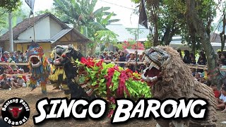 Taruna Bhakti ft Putra Raga Tunggal Live Kleco Centong Gondang || Singo Barong
