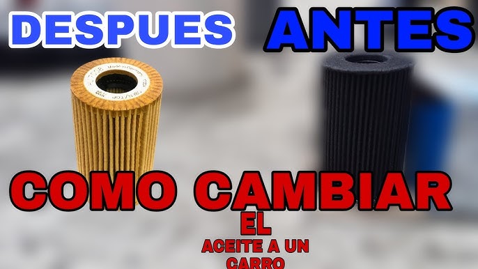 Video Tutorial/ Cambio de aceite + filtros 1.9 Tdi 105cv 