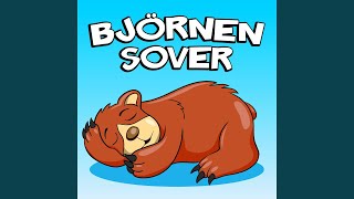 Björnen Sover