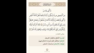 السراج في بيان غريب القران سورة الطلاق 4 مع تلاوة الشيخ سعد الغامدي