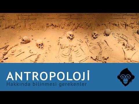 Video: Antropoloji Nedir