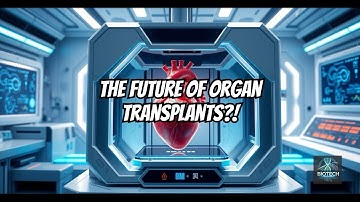 3D Bioprinting: The Future of Organ Transplants