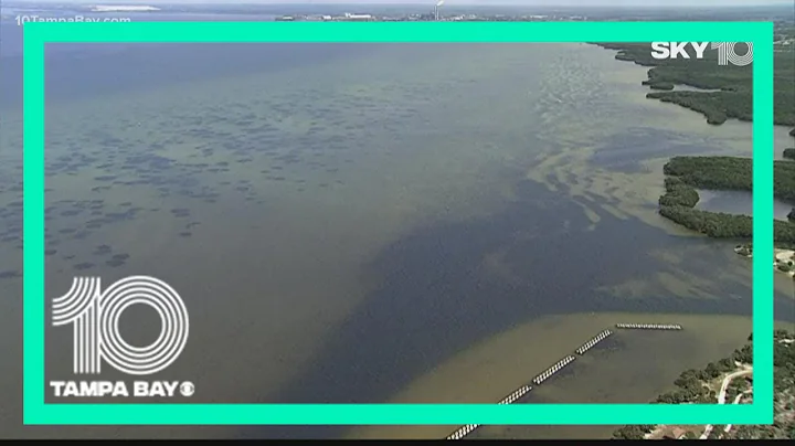 This is where researchers forecast the polluted Piney Point water will flow in Tampa Bay