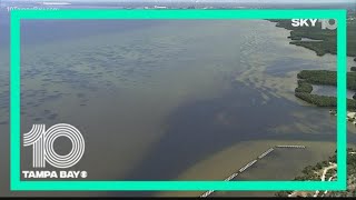 This is where researchers forecast the polluted Piney Point water will flow in Tampa Bay